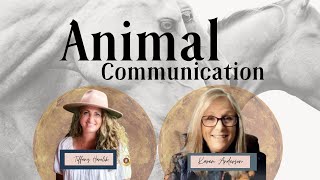 Animal Communication with Karen Anderson