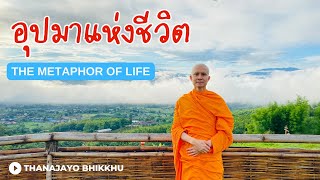 อุปมาแห่งชีวิต เพื่อความเข้าใจชีวิตอย่างถ่องแท้ | Thanajayo Bhikkhu | 14 October  2023