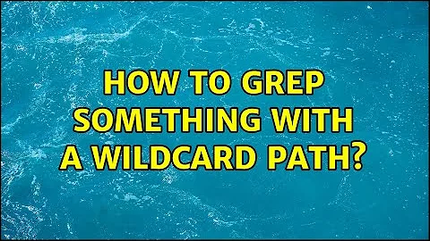 How to grep something with a wildcard path?