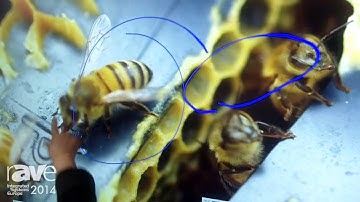 ISE 2014: Qomo Presents Its 84" 4K LED Multitouch Screen with Flow!Works Technology