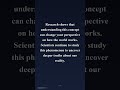 The Zeigarnik effect: why unfinished tasks haunt you