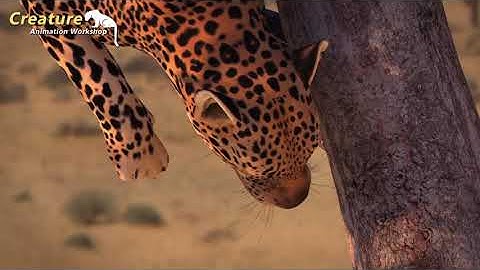 CAW Creature Animation Workshop works Kishore leopard