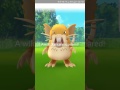 POKEMON GO BUDDY SYSTEM IN ACTION! (THE ROAD TO MACHAMP!)