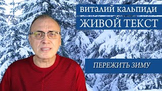 В. Кальпиди. 