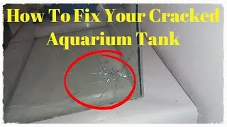 How To Fix a Cracked Aquarium Tank