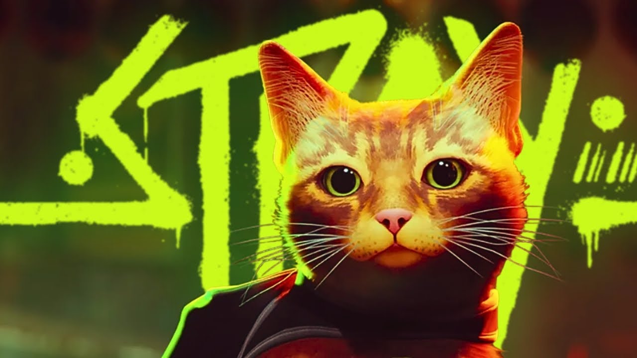 THE CUTEST CAT GAME (Stray) 