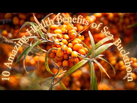 10 Amazing Health