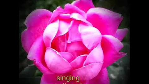 Benefit singing four days late Sister Janice Dillo...