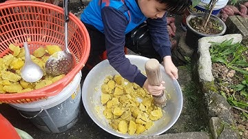 Toàn bộ quá trình cách làm khoai lang ủ chua câu cá