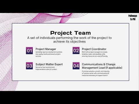 Module 2 - Roles & Responsibilities - Project Team