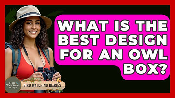 What Is The Best Design For An Owl Box? - Bird Watching Diaries