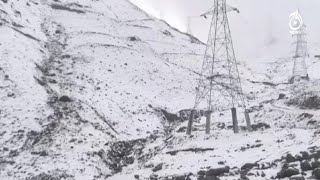 Fancy Dir&rsquo;s famous trout fish?