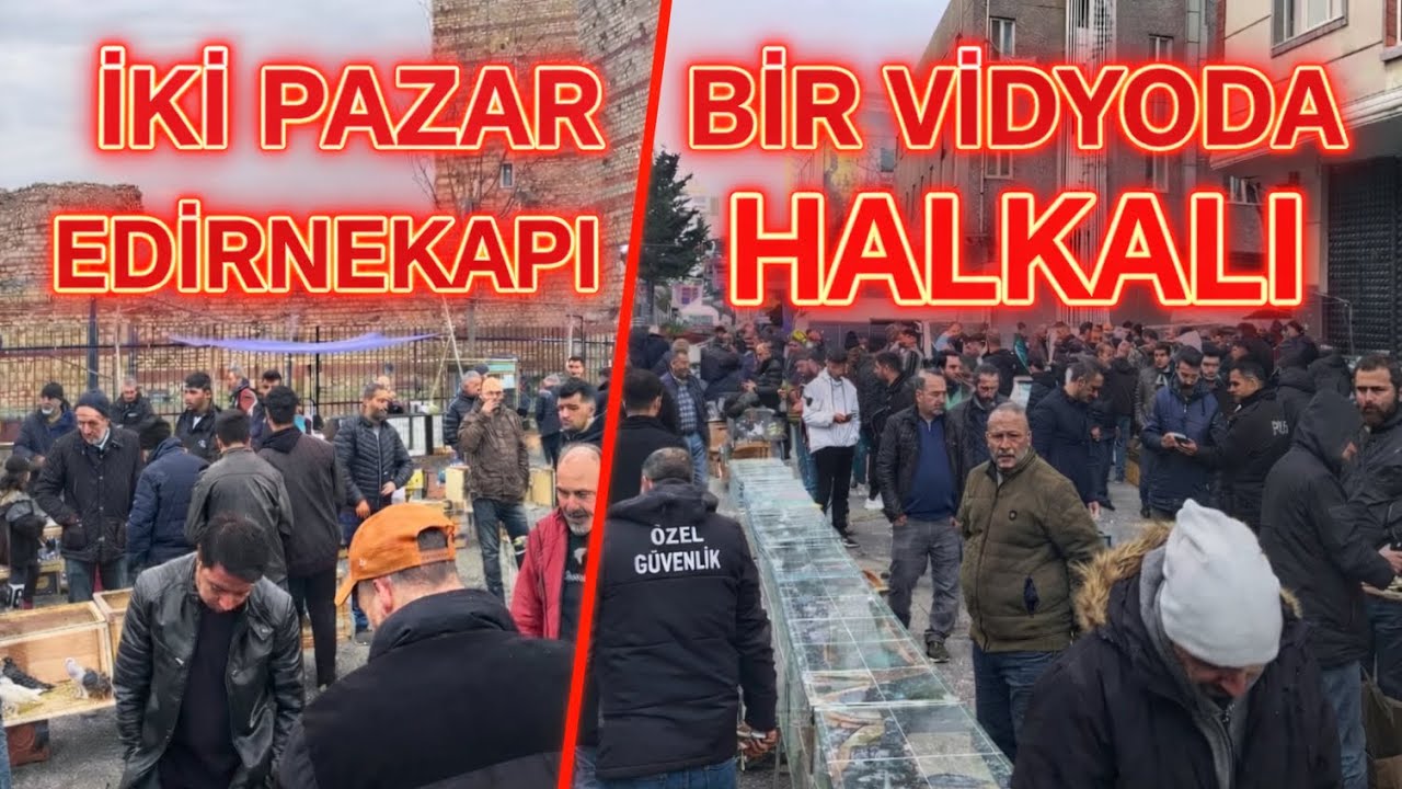 Edirnekapı mı Halkalı mı? | İki Kuş Pazarı Tek Videoda