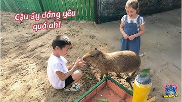Lần Đầu Rin Rin Được Sờ Capybara Ở Thảo Cầm Viên – Dễ Thương Lắm Mấy Bạn Ơi