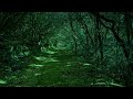 Walking through the Green Forest / RELAX / MEDITATION / CHILL