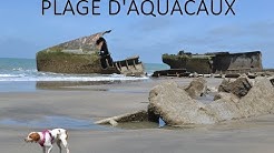 🐶 TOUTOU VADROUILLE : EN NORMANDIE ♥ 🐾 - #6 Plage d'Aquacaux (Octeville-sur-Mer 76) (PART II)