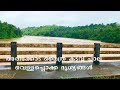 Areekode - Maithra Kadavu Bridge - അരീക്കോട് മൈത്ര കടവ് പാല വെള്ളപ്പൊക്ക ദൃശ്യങ്ങൾ.