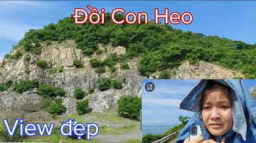 Checkin Đồi Con Heo Vũng Tàu
