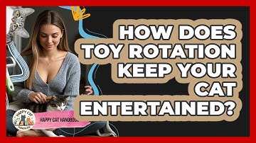 How Does Toy Rotation Keep Your Cat Entertained? - Happy Cat Handbook