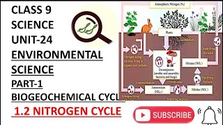 CLASS 9 SCIENCE  UNIT-24  ENVIRONMENTAL SCIENCE  PART-1 BIOGEOCHEMICAL CYCLES  1.2 NITROGEN CYCLE