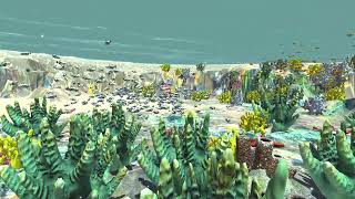 My Coral Lagoon CGI 3D Animation No LAG 23
