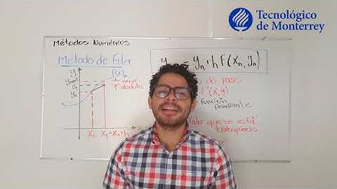 Métodos Numéricos - Euler