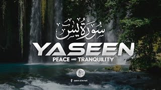 Surah Yasin (YASEEN) PEACE & TRANQUILITY | Soft Voice | by Salem Al Ruwaili screenshot 2