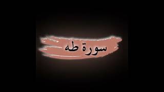 سورة طه|| للشيخ رعد محمد الكردي|| بدون إعلانات #_القرآن_الكريم #_رعد_محمد_الكردي screenshot 5