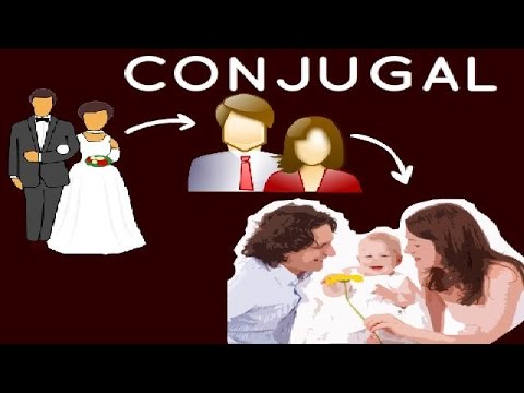 Conjugal(adjective):Meaning: relating to marriage or the relationship betwe...