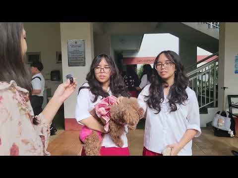 Video Dogs, cats, chickens and turtle blessed at Santa Barbara Catholic School