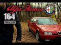 Alfa Romeo 164. Покупка, обзор, Альфа вирус.