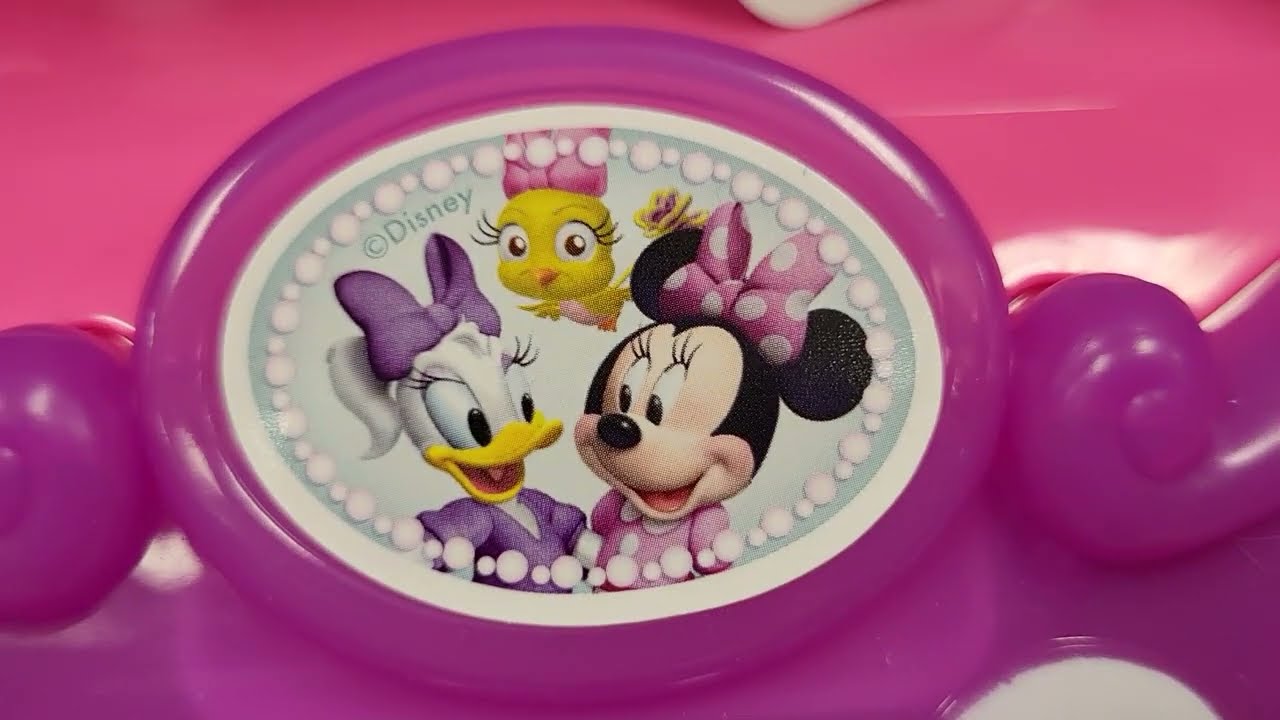 DISNEY MINNIE MOUSE & DAISY DUCK PET POODLE PLUSH INSIDE PINK PET CARRY CASE $14.99 BUDGET SHOPPING