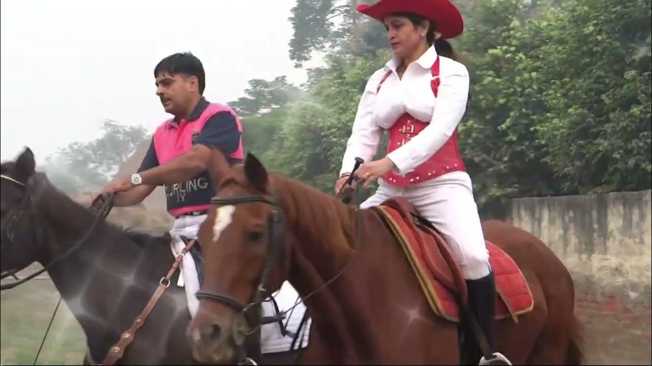 Anjali s Horse You Hold My Heart YouTube anjali-s-horse-you-hold-my-heart-youtube