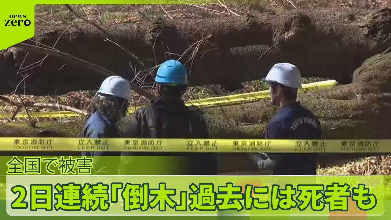 【倒木被害】“花見の名所”公園で2日連続…　「根腐れ」が原因か　女性が下敷きになりケガも