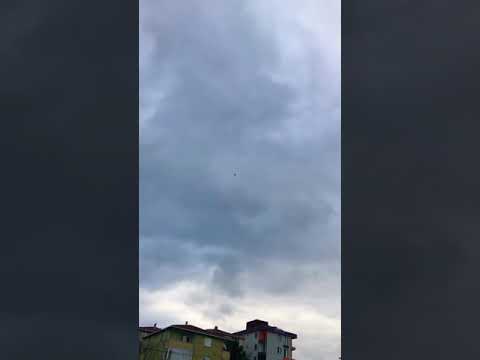 Atmaca gibi dama gelen Oyun kuşu