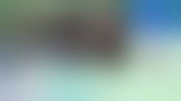 EOA 2020 Case 1b Colon EMR risk management -  Bourke