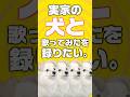 【テレパシ】愛犬を歌ってみたに溶け込ませる方法を超高速解説