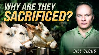 Why Animal Sacrifices in the Old Testament? (Feat. Bill Cloud)