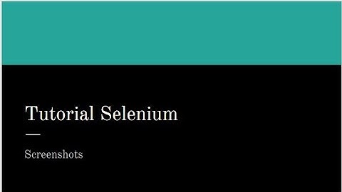 Tutorial Selenium Capítulo 19: Screenshots