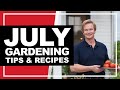 10 July Garden Tips: Watering Tricks, Vertical Design, Tomatoes & More!