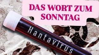 DAS WORT ZUM SONNTAG HEUTE: DER HANTA-VIRUS| ROLLT EINE NEUE PANDEMIE AUF UNS ZU?!