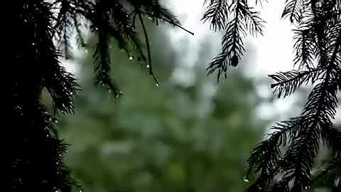 سورة الحاقة كاملة تلاوة القارئ هيثم الدخين