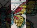 رسمت فراشة على الزجاج 🧡 🦋