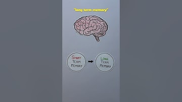 3 Steps to Learn Anything Faster (Scientifically Proven) #studytips #exams