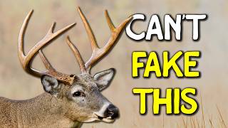 What the Best Deer Hunters All Have in Common