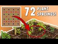 Square Foot Gardening PLANT SPACING (TEMPLATE Chart FOR 72 PLANTS!)