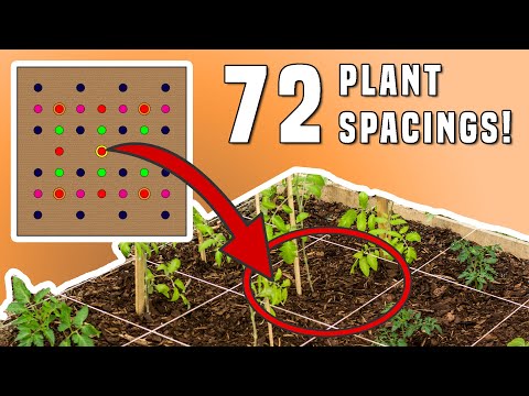 Video: Hoeveel plante per vierkante voet - plantspasiëring in 'n vierkante voet tuin