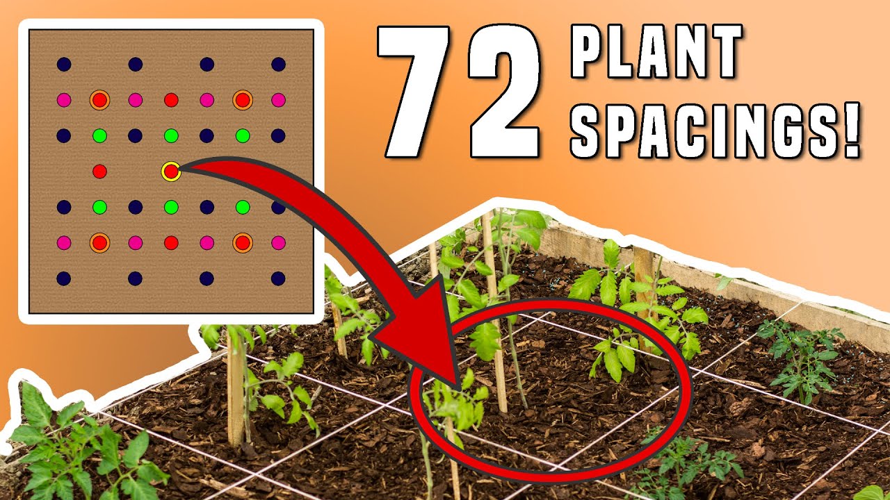 Square Foot Gardening Plant Spacing Template Chart For 72 Plants