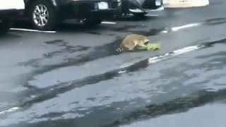 Original post from r/natureismetal