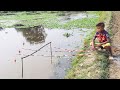 Fishing Video🐠🐬|| The boy is happily fishing in the field canal Beautiful hook fishing
